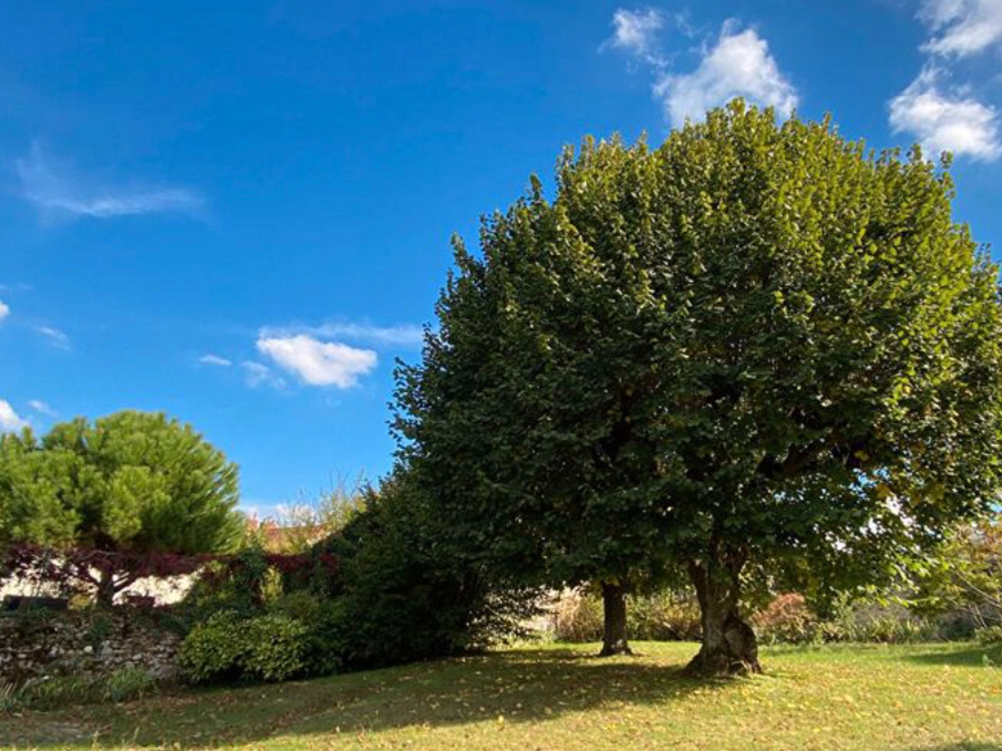 Maison à vendre - 12 pièces - 350m2 - Le Coudray-Montceaux (91830)