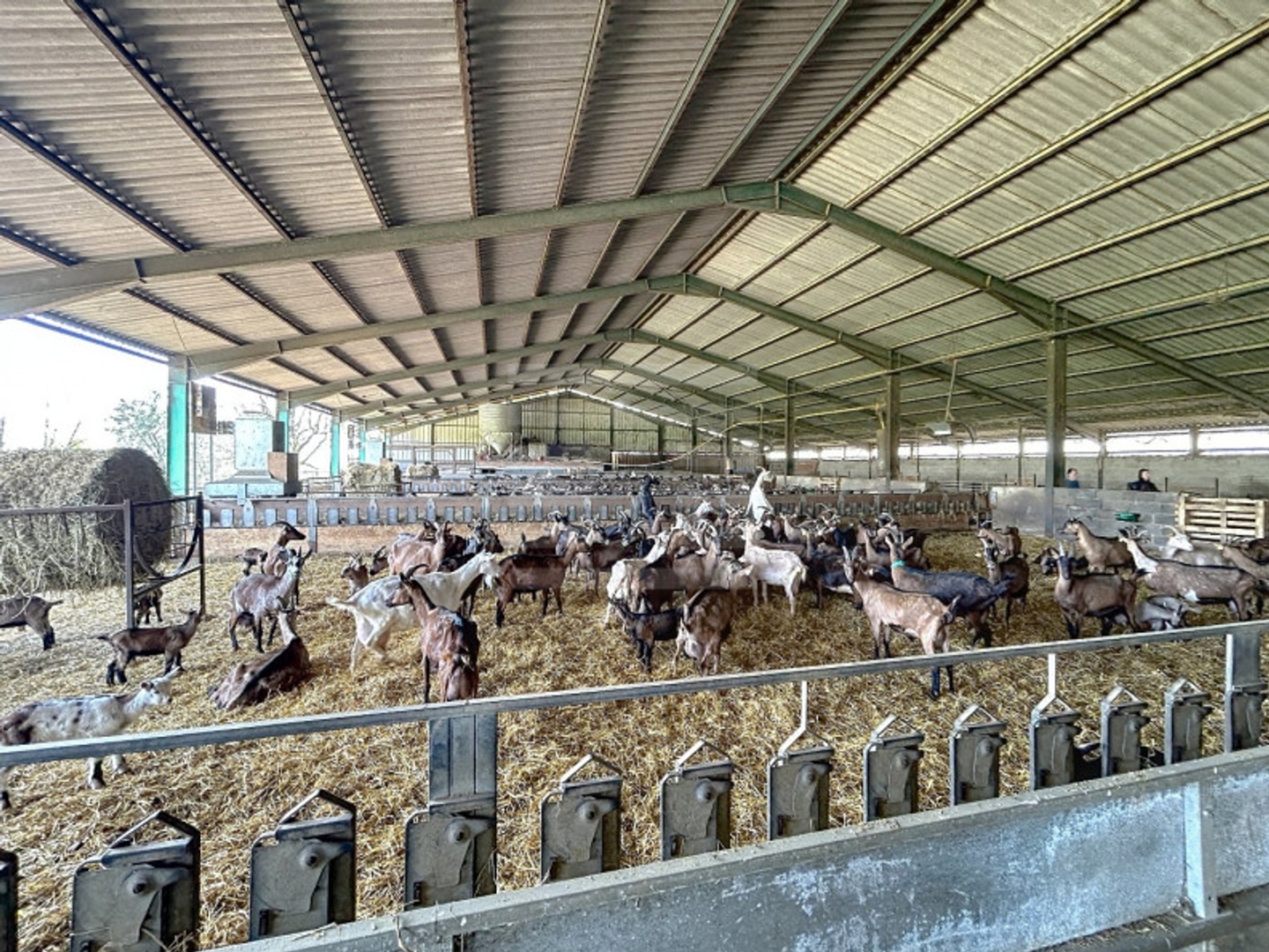 Exploitation laitière 1 pièce