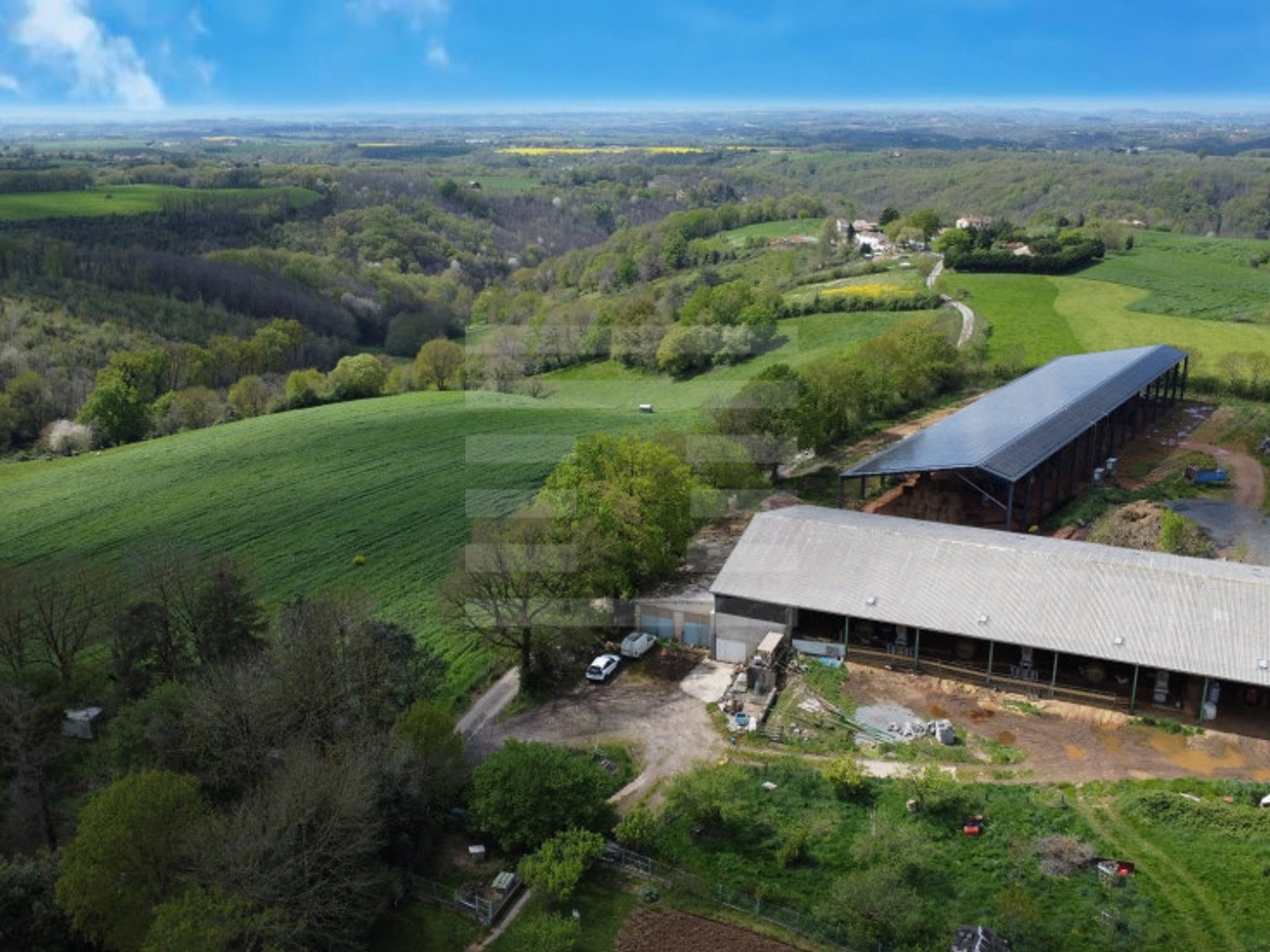Magasin à vendre - 1 pièce - 250000m2 - Teillet (81120)