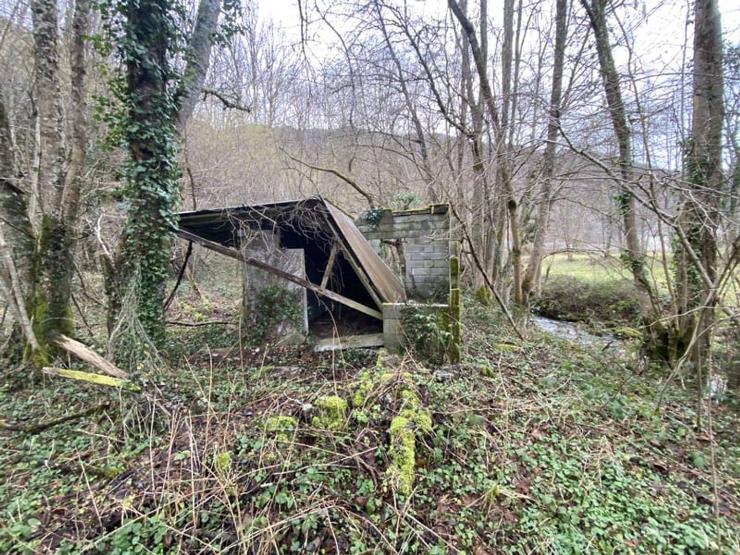 Terrain agricole avec ruine cadastrée