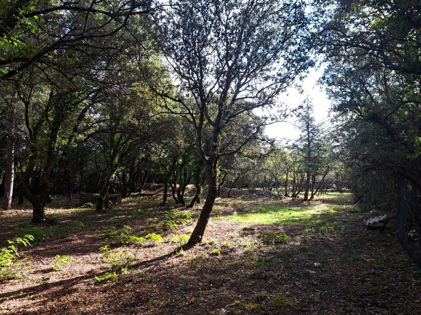 Terrain 700 m²