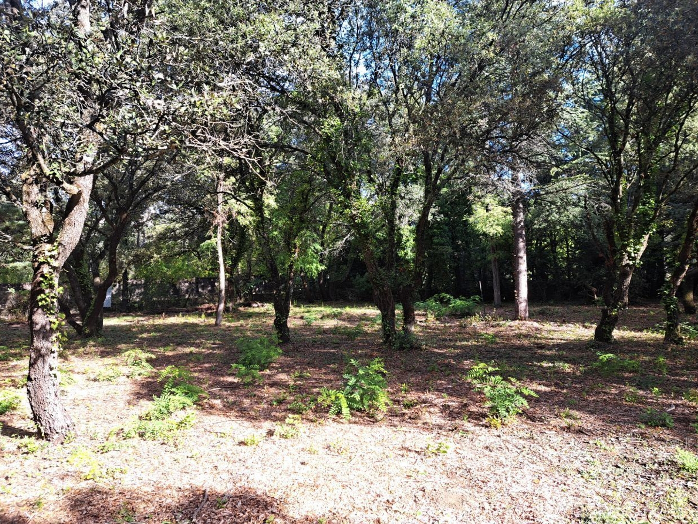 Terrain à vendre - 700m2 - Cabrières-D'avignon (84220)