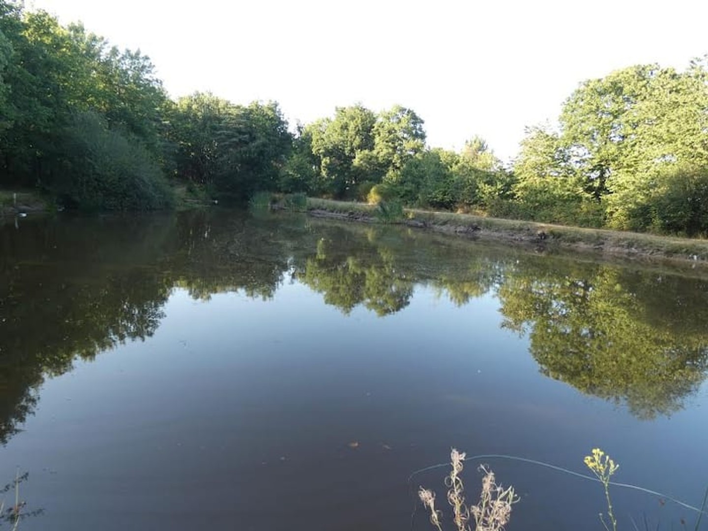 Terrain à vendre - Nuillé-Le-Jalais (72370)