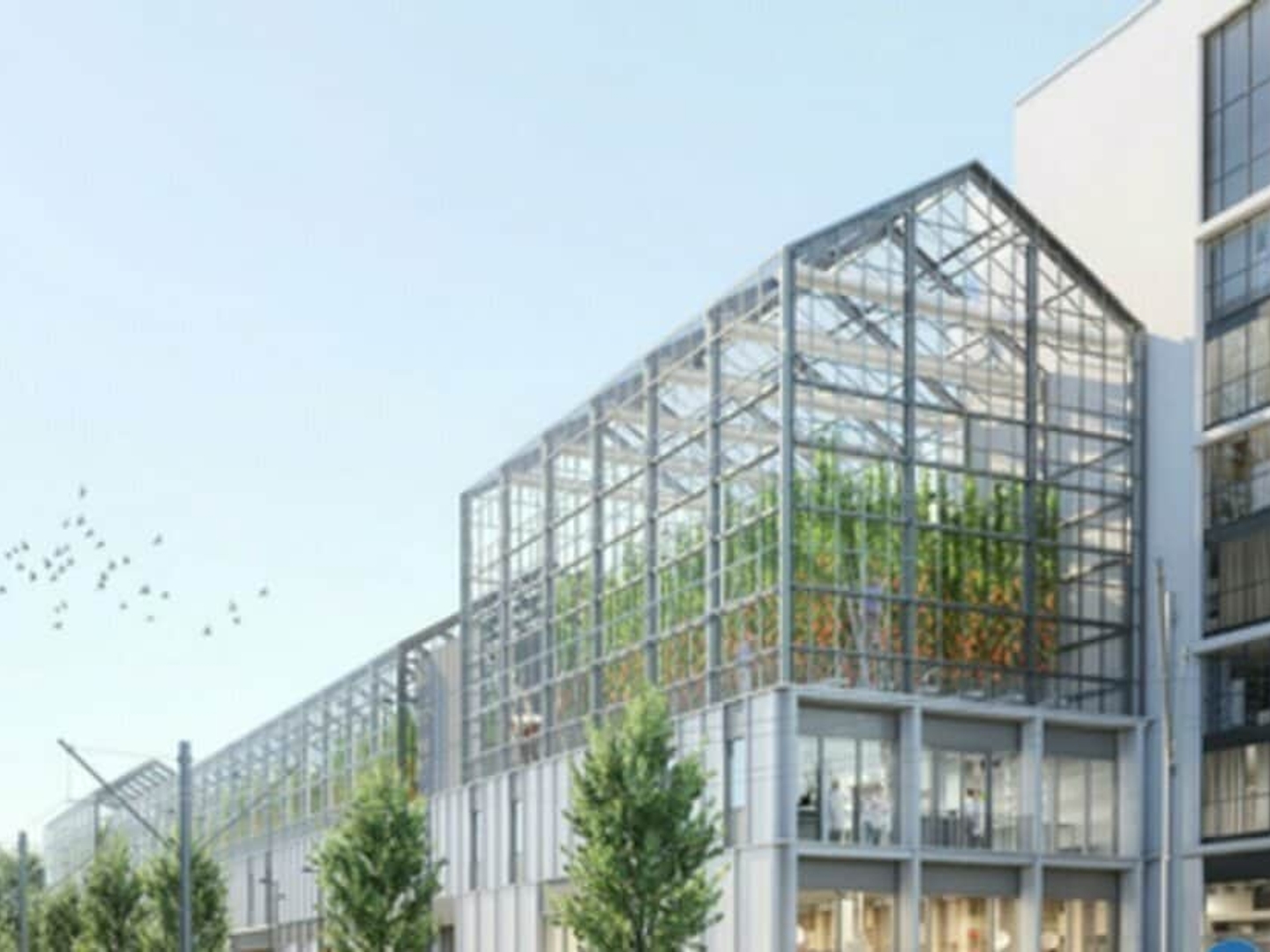 LOCAL COMMERCIAL A VENDRE