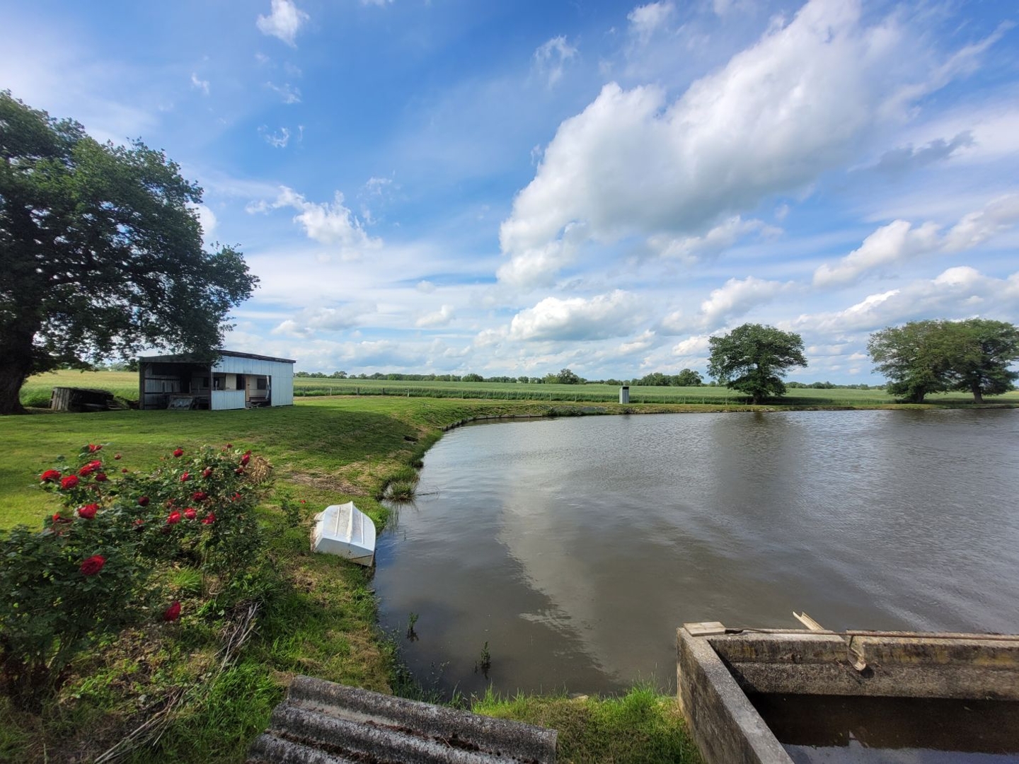 Terrain à vendre - 11531m2 - Huriel (03380)