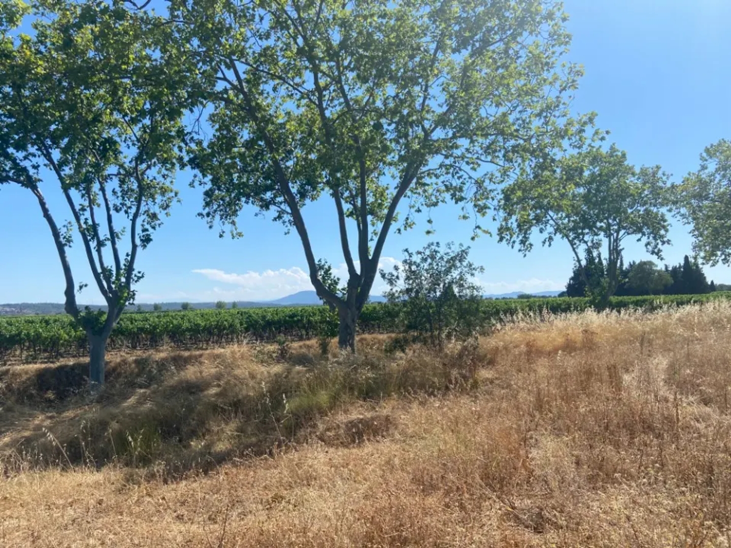 Terrain à vendre - 400m2 - Olonzac (34210)
