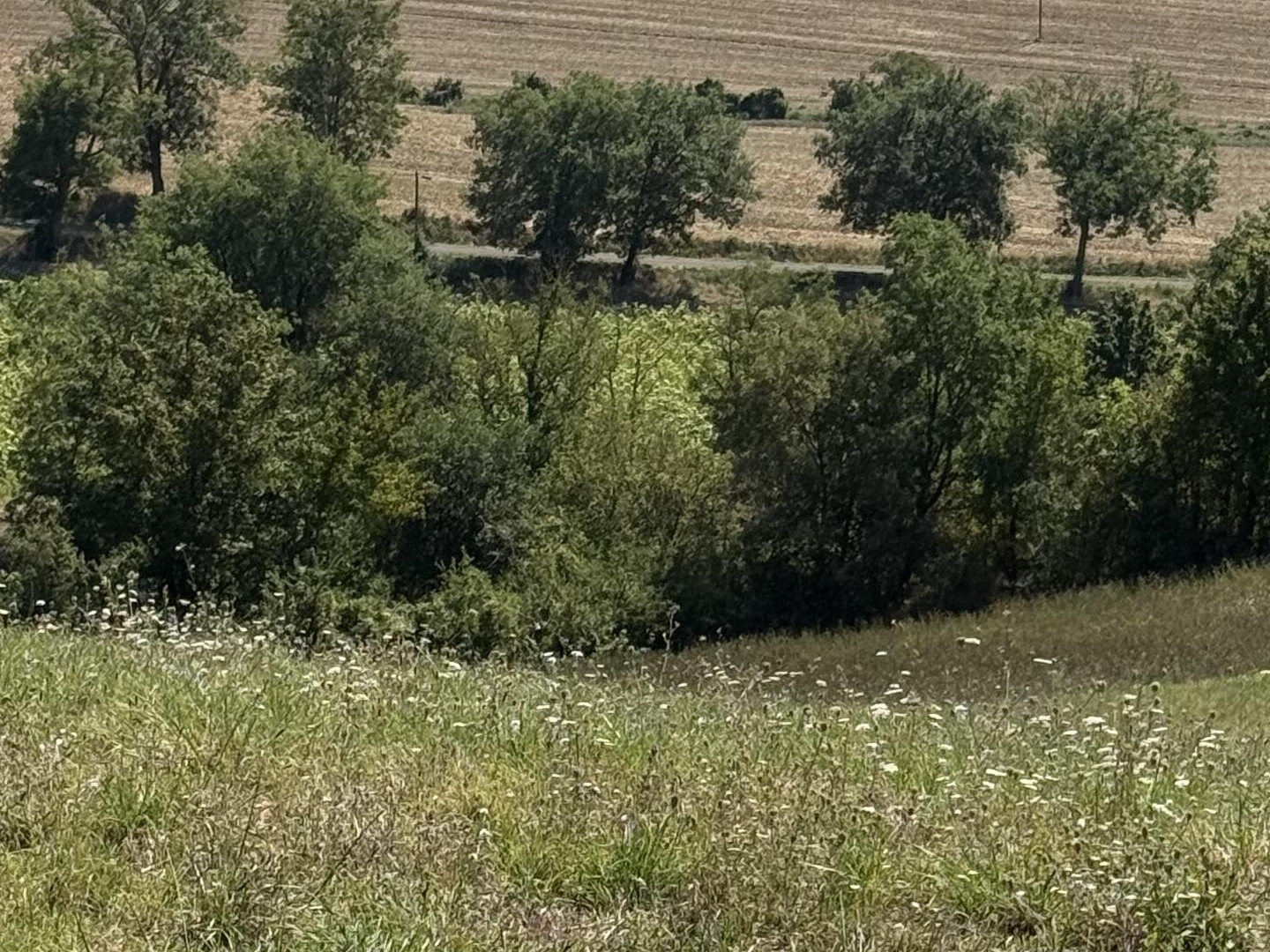 Terrain 900 m²