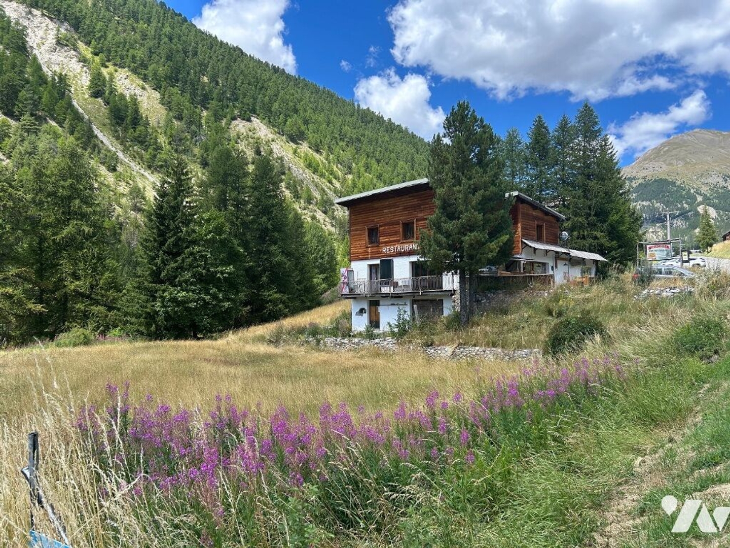 Terrain