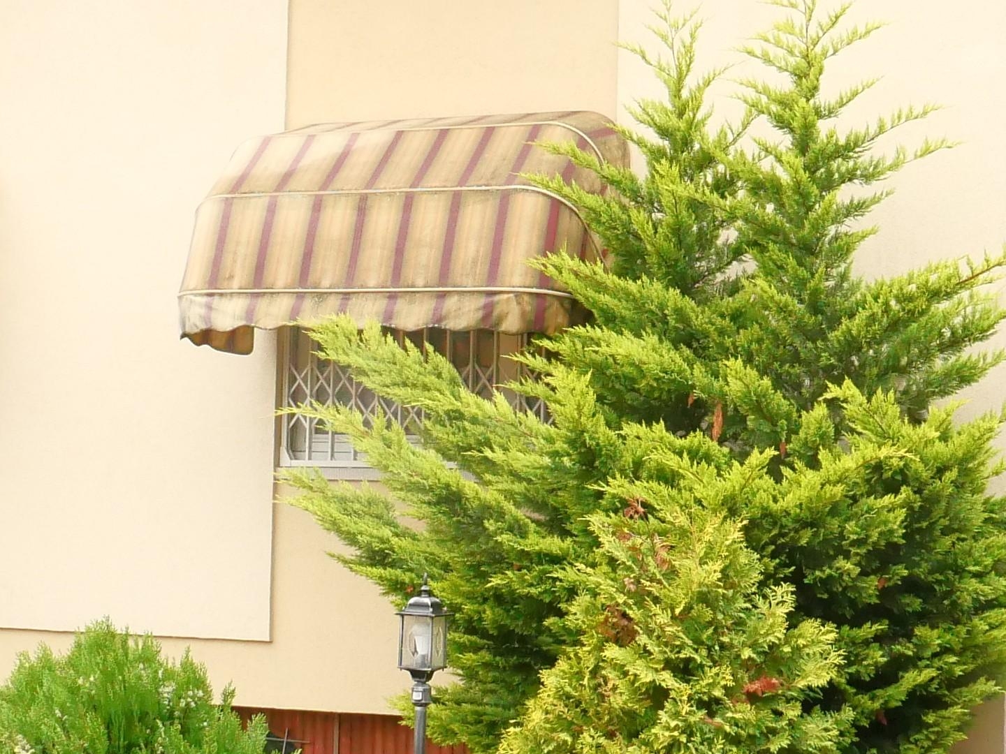Immeuble 10 pièces