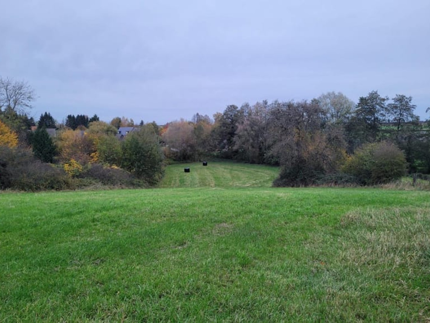 Terrain