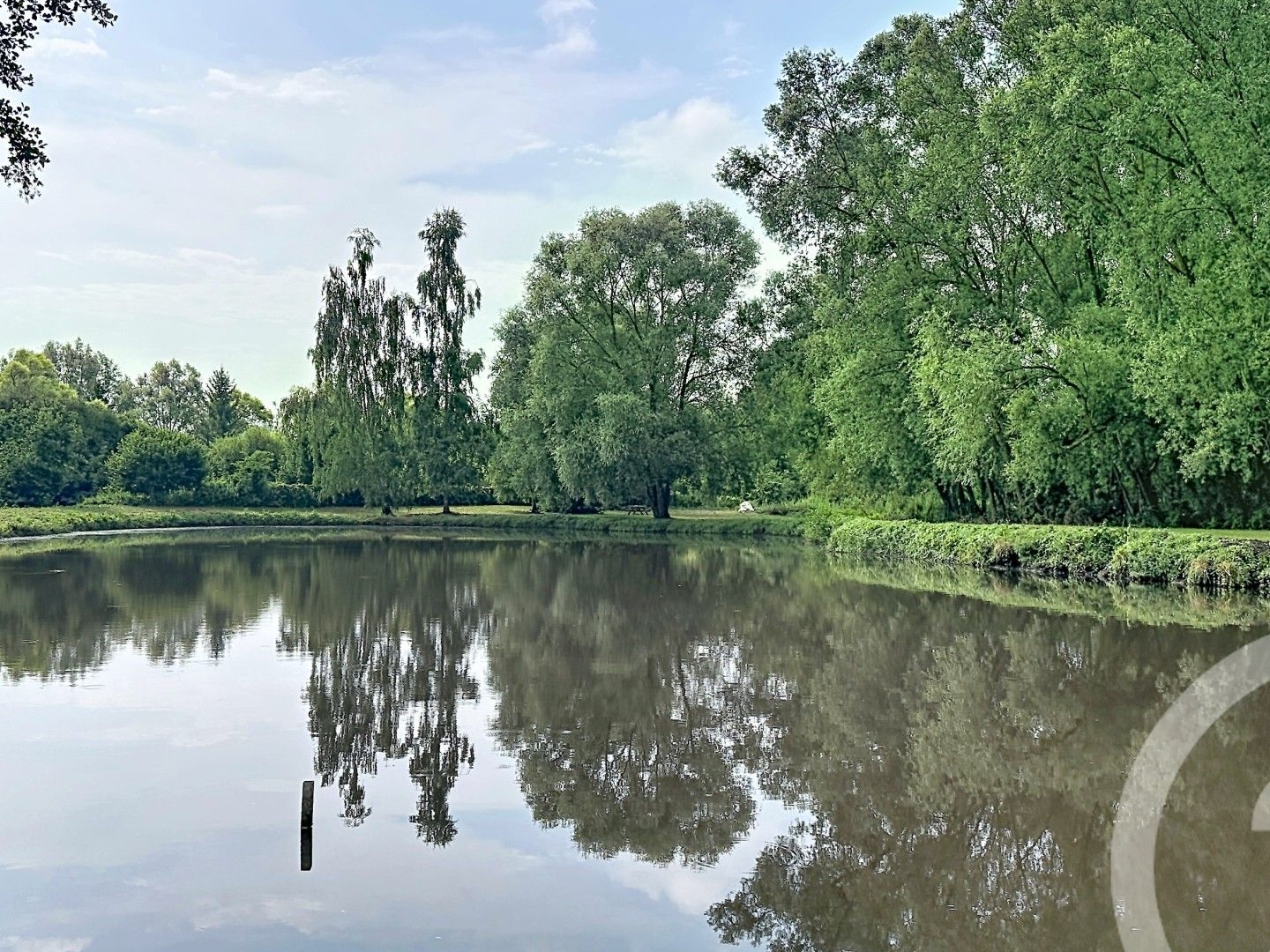 Terrain 20000 m²