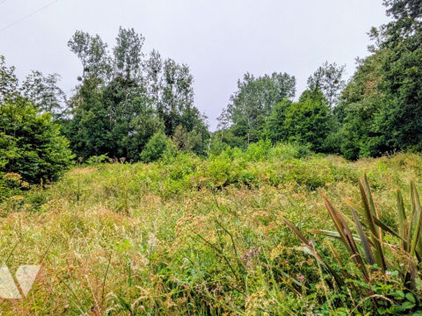 Terrain