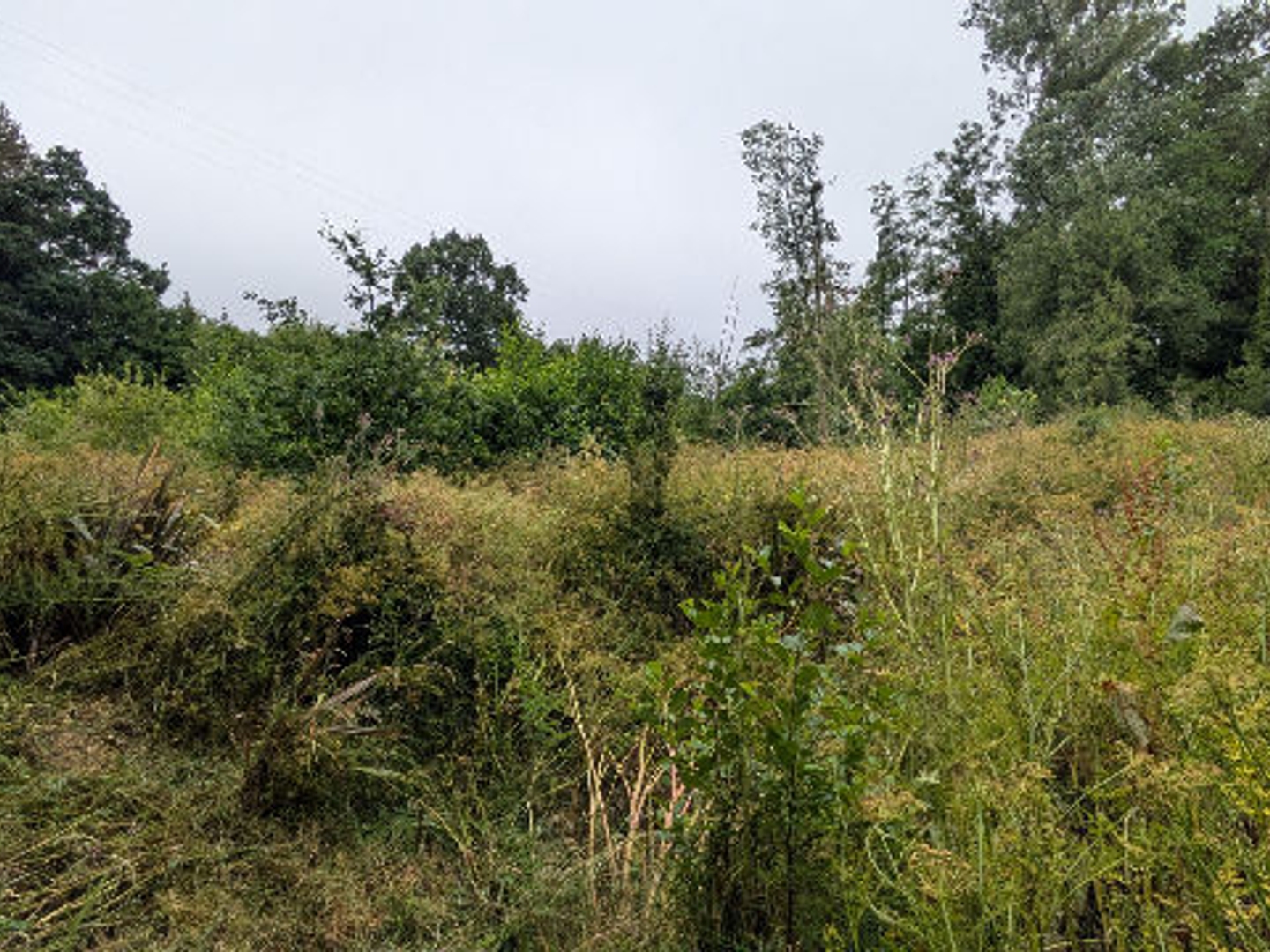 Terrain à vendre - Sottevast (50260)