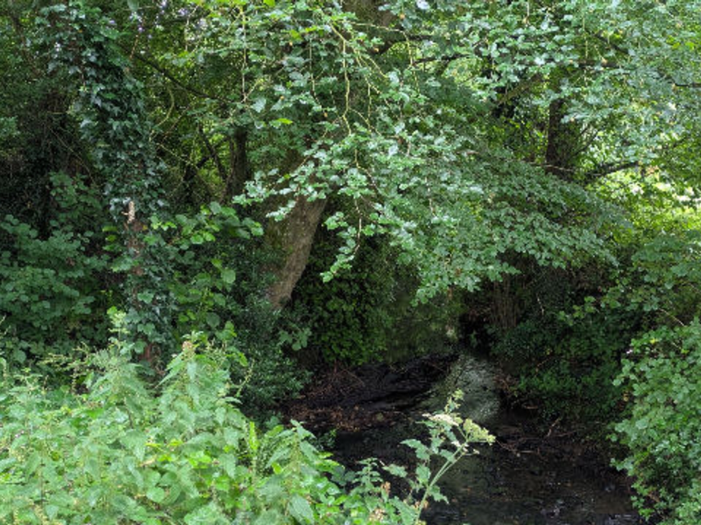Terrain à vendre - Sottevast (50260)