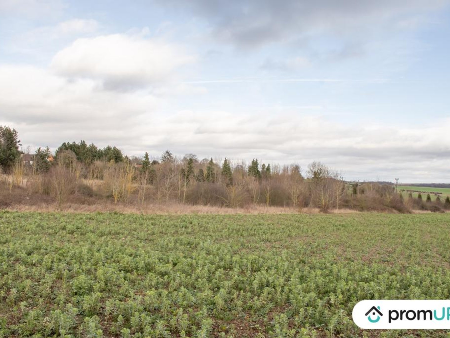 Grand Terrain Boisé de 9 470 m² à Proximité d'Airaines Idéal pour un projet de loisirs ou d'exploitation forestière