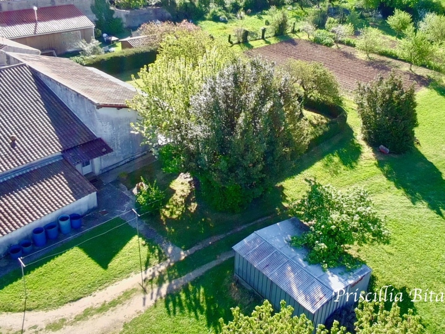 Maison à vendre - 5 pièces - 88m2 - Aigrefeuille-D'aunis (17290)