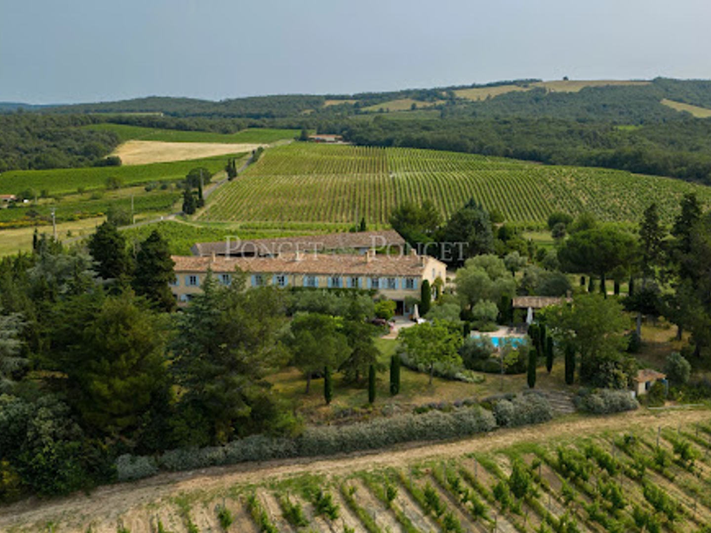 Vignoble 730000 m²