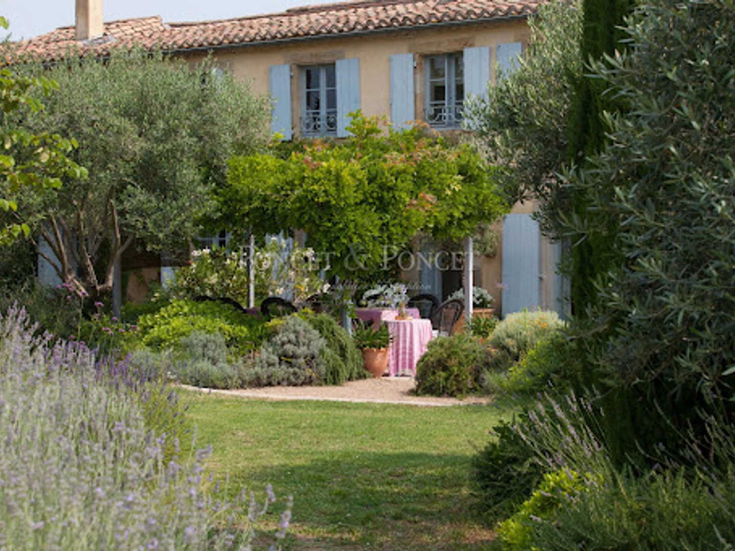 Terrain à vendre - 730000m2 - Limoux (11300)