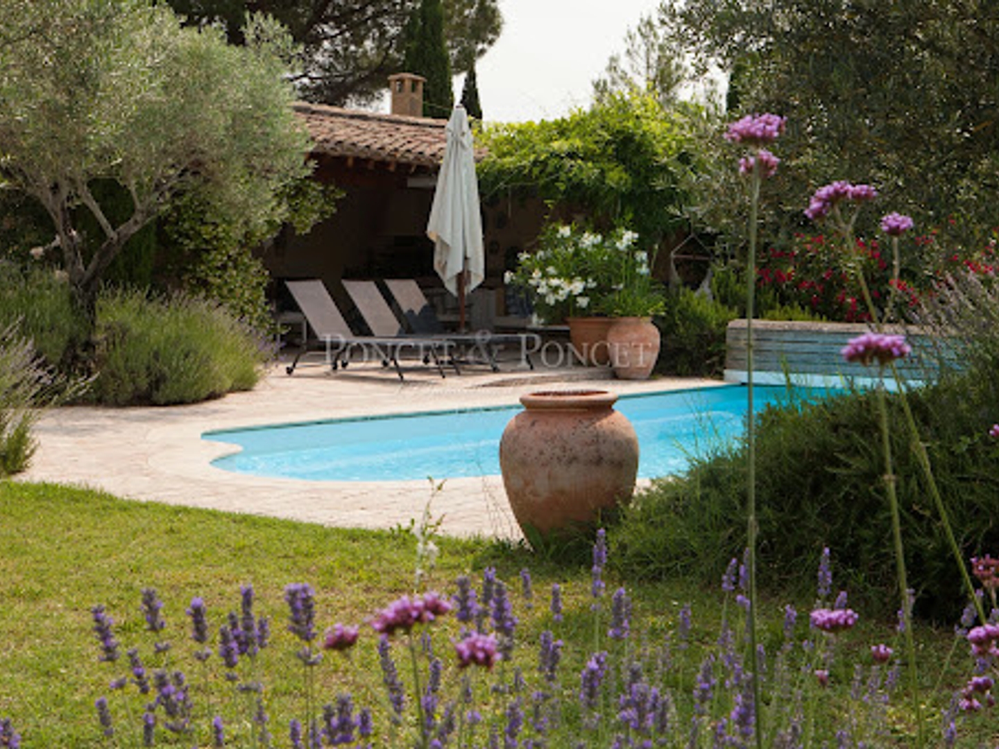 Terrain à vendre - 730000m2 - Limoux (11300)