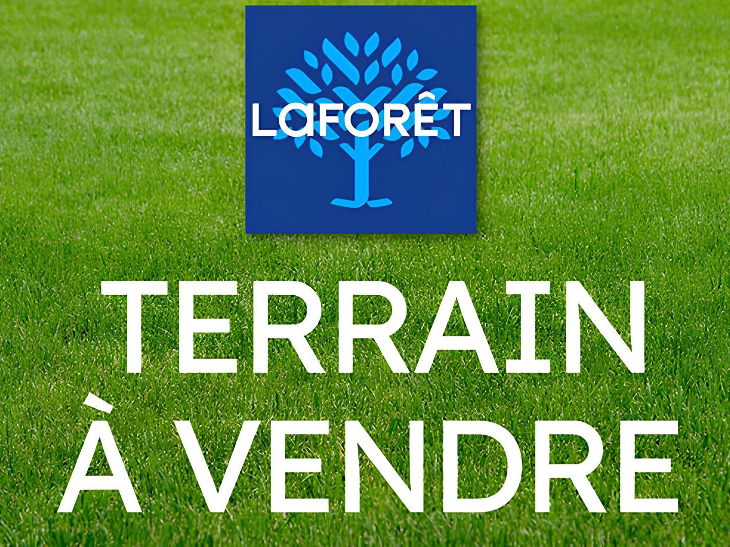 Terrain 713 m²