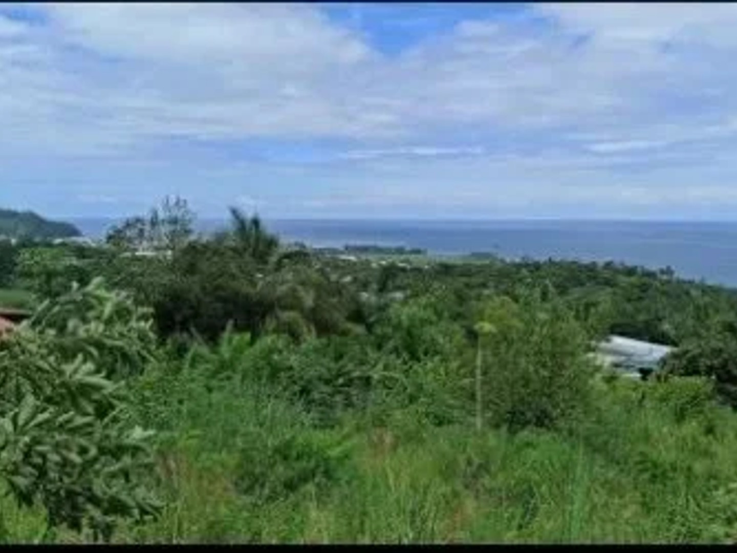 Terrain 590 m²