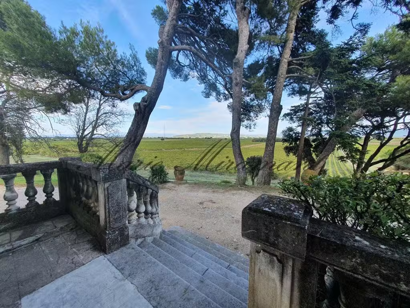 Domaine viticole 21 pièces 3900 m²