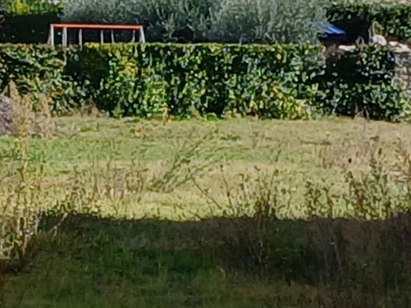 Terrain 390 m²