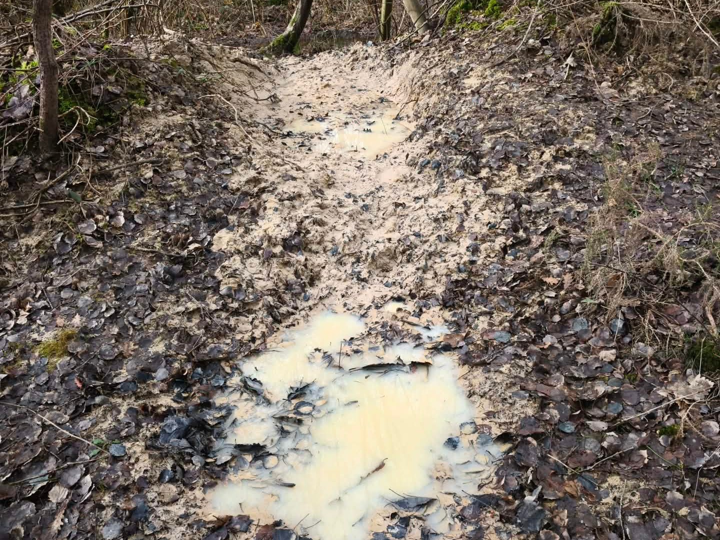 Terrain à vendre - 280000m2 - Romorantin (41200)