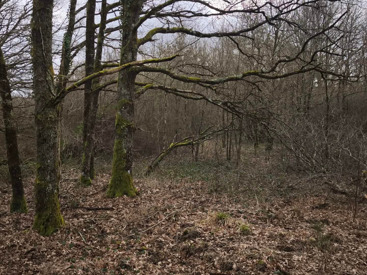 Terrain à vendre - 280000m2 - Romorantin (41200)