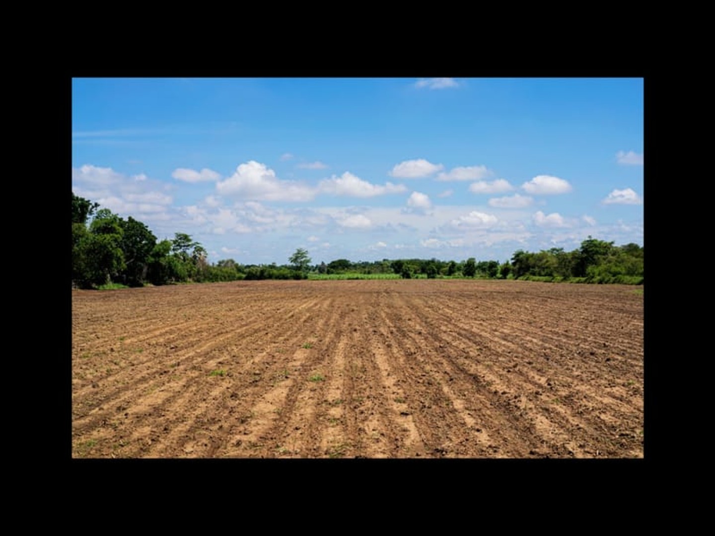 TERRESS AGRICOLES CULTIVABLES