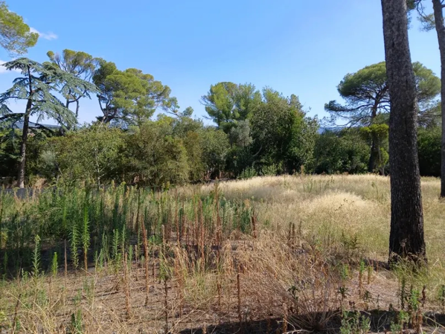 Terrain 500 m²
