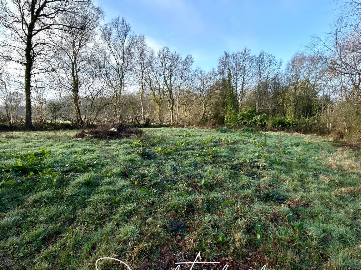 Terrain 4454 m²