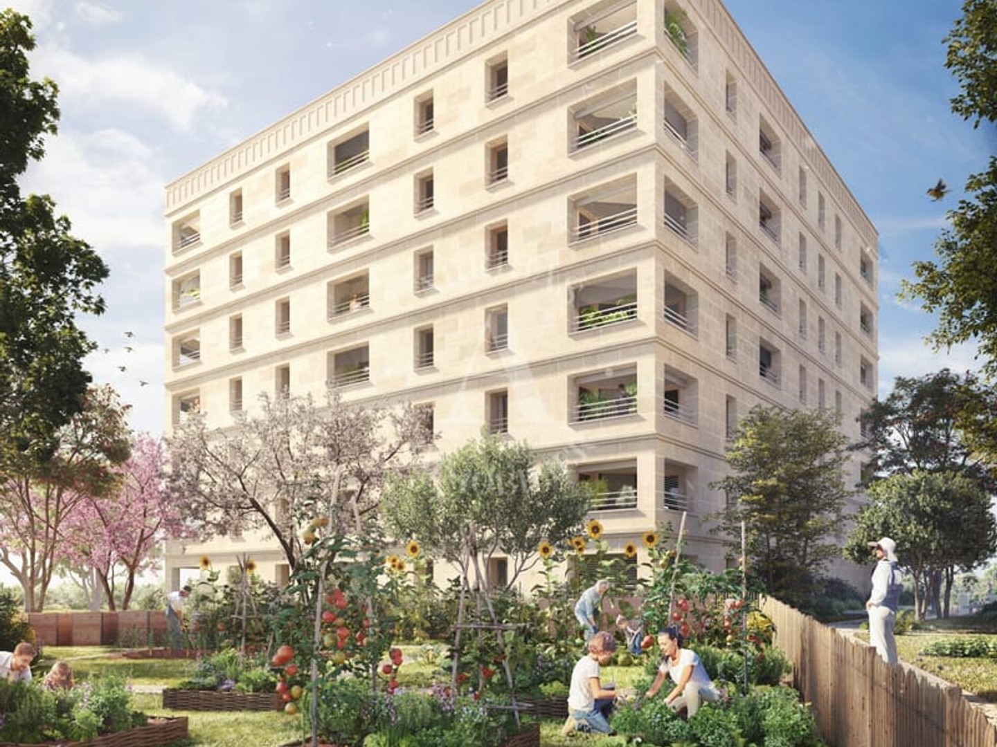 Appartement 3 pièces 74 m²