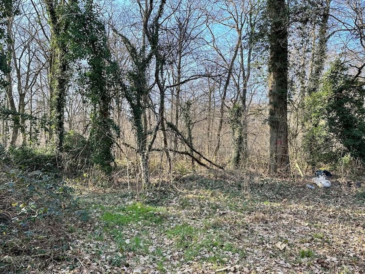 Terrain