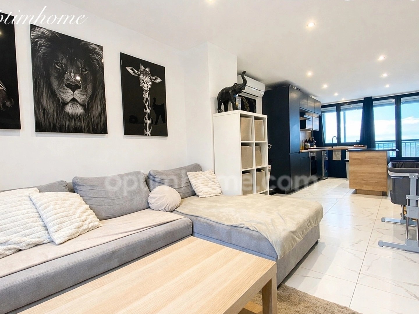 Appartement 3 pièces avec loggia et cave à SETE (34)