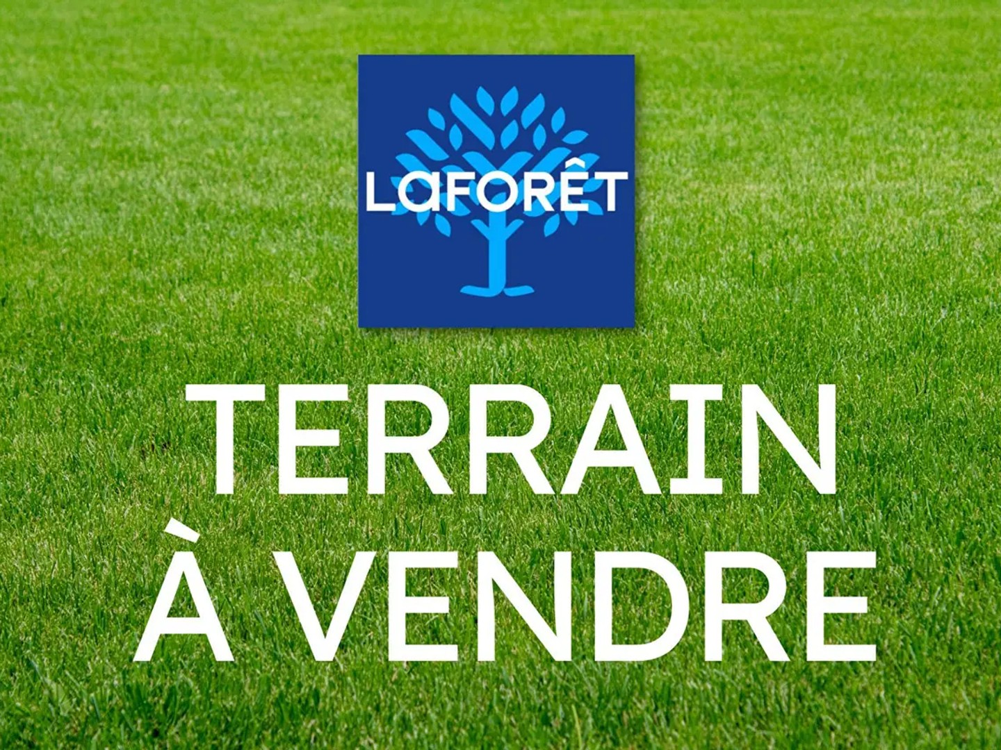Terrain 1000 m²