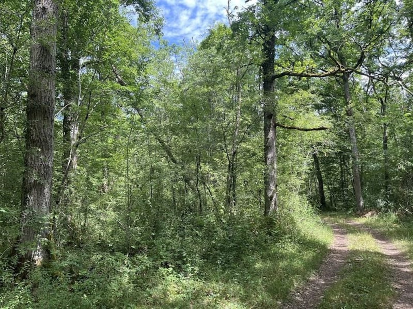 Terrain 551889 m²
