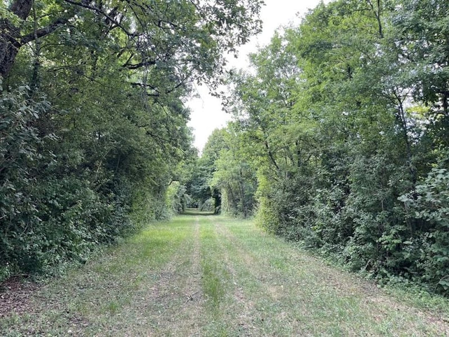 Terrain à vendre - 551889m2 - Pressigny-Les-Pins (45290)