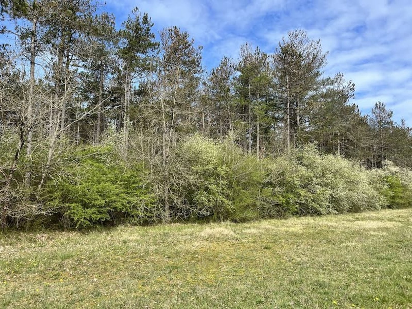 Terrain à vendre - 551889m2 - Pressigny-Les-Pins (45290)