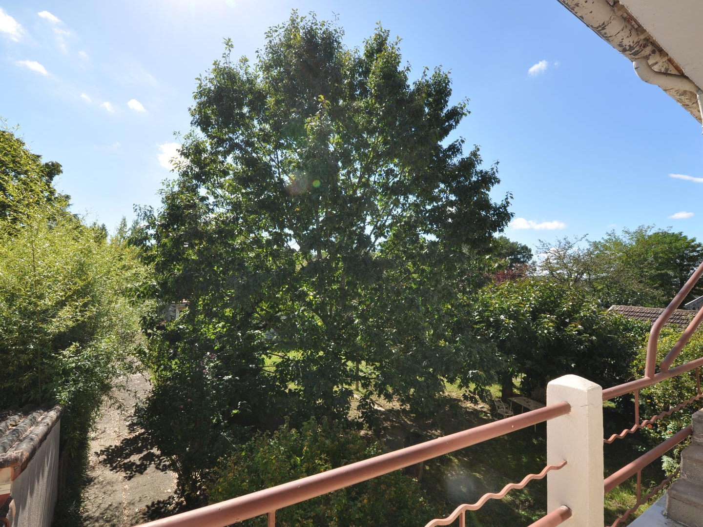 Maison à vendre - 10 pièces - 251m2 - Albi (81000)