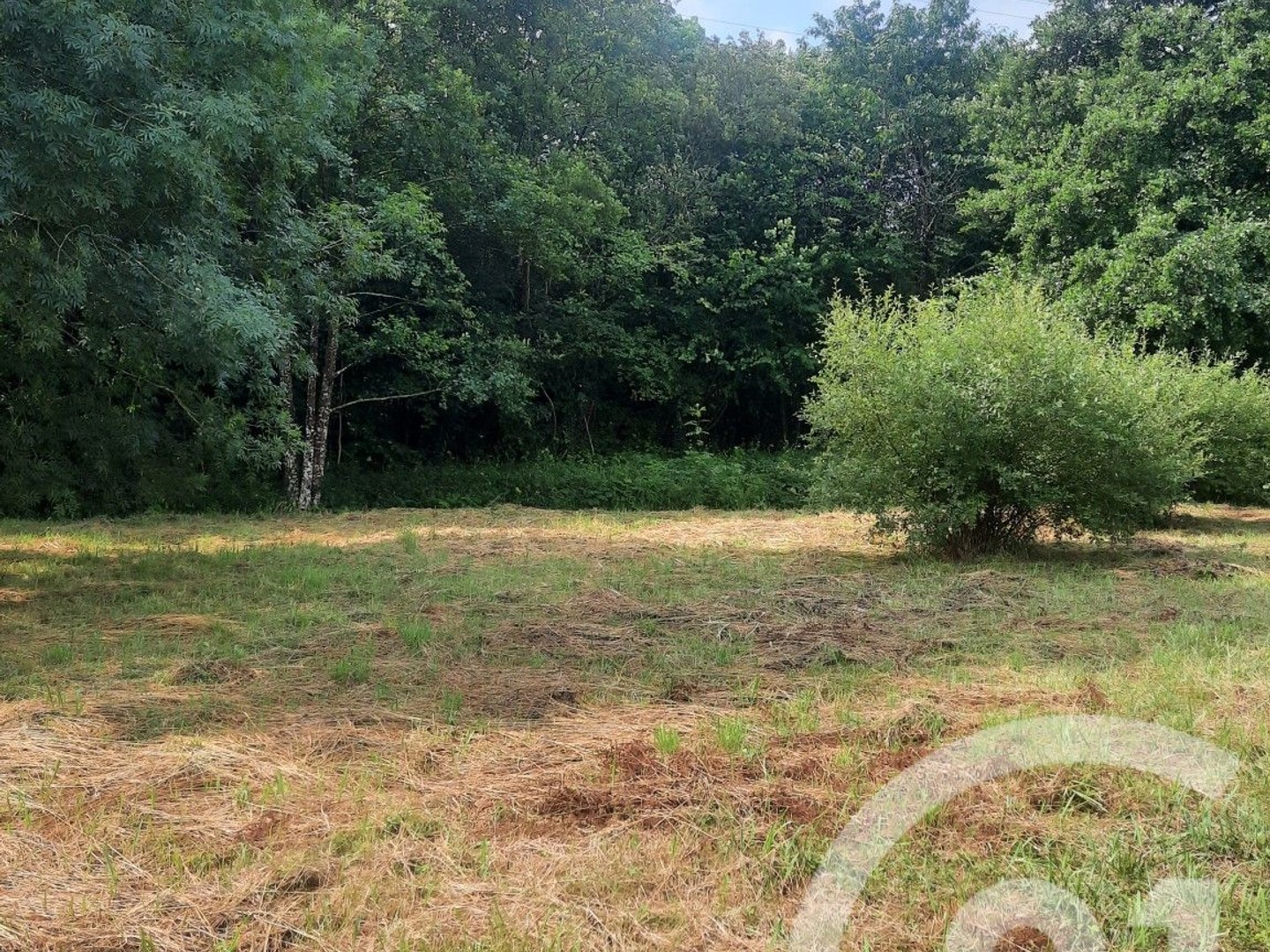 Terrain 1000 m²