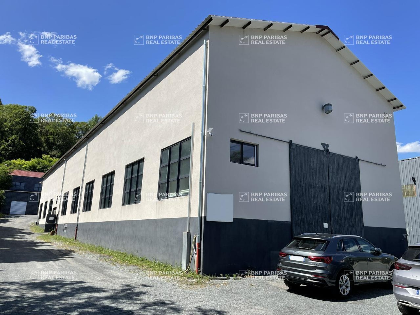Vente Local d'activités Tullins 38210