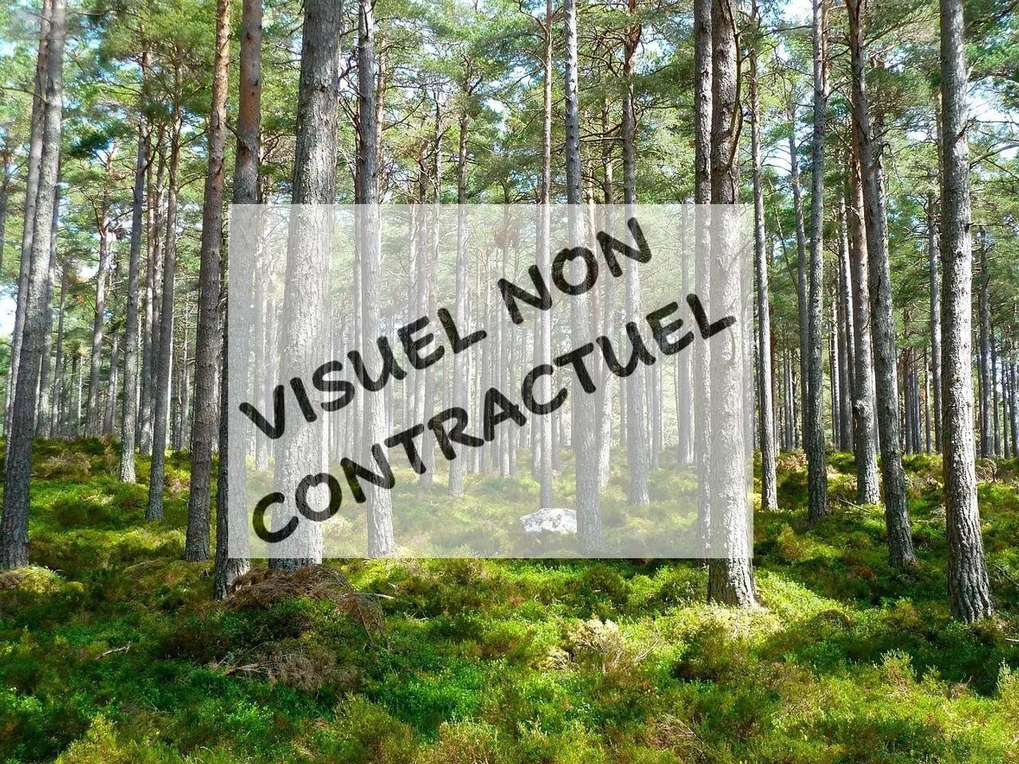 Terrain 2861 m²