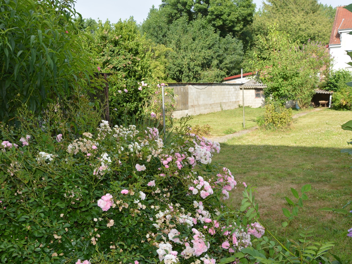 Maison à vendre - 5 pièces - 110m2 - La Comté (62150)