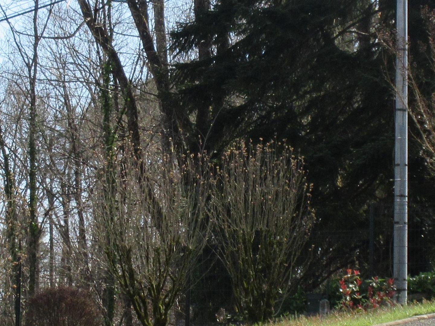Maison à vendre - 9 pièces - 260m2 - Périgueux (24000)