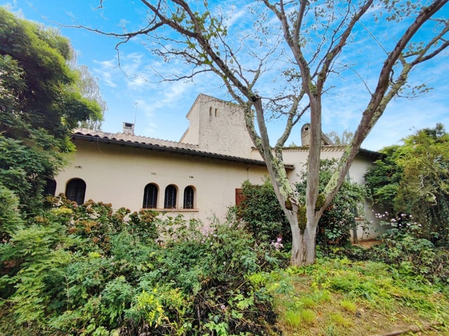 Maison Atypique avec studio indépendant, garage et Grand Terrain Arboré