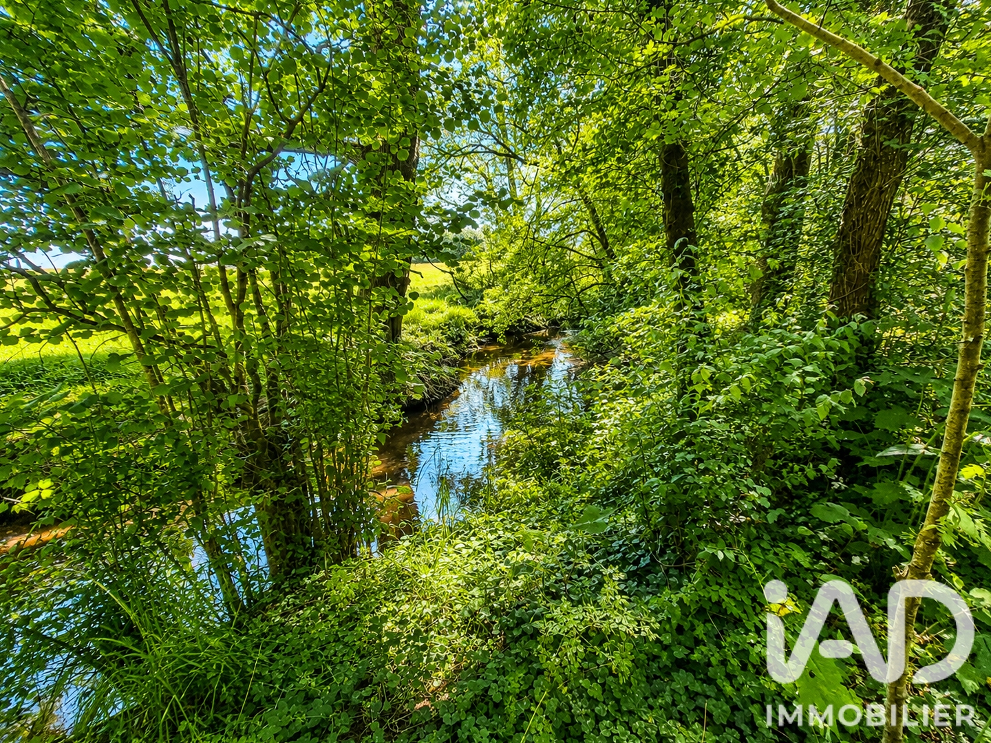 Terrain à vendre - 16540m2 - Blain (44130)