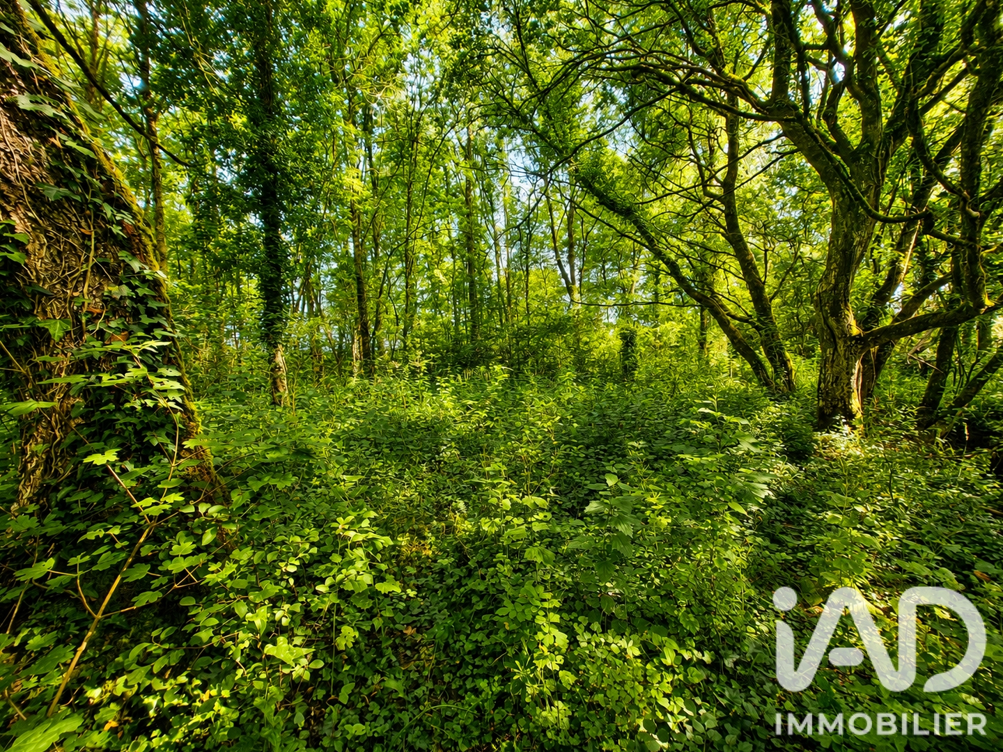 Terrain à vendre - 16540m2 - Blain (44130)