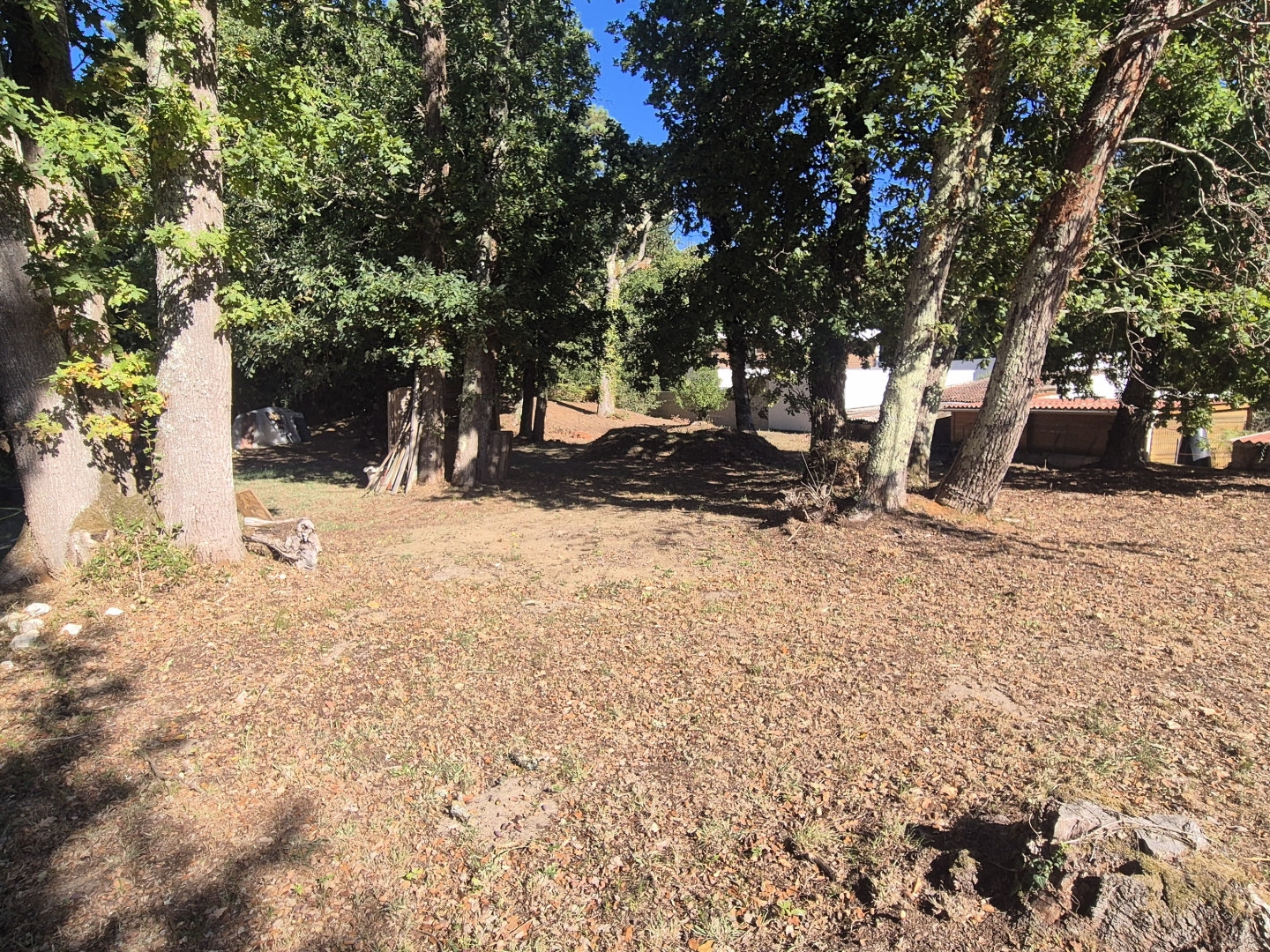 Terrain à vendre - 1030m2 - Saint-Palais-Sur-Mer (17420)