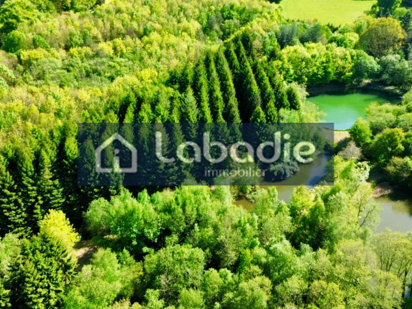 Terrain à vendre - 185795m2 - Vire Normandie (14500)